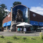 Advanced Awnings The Bear Company